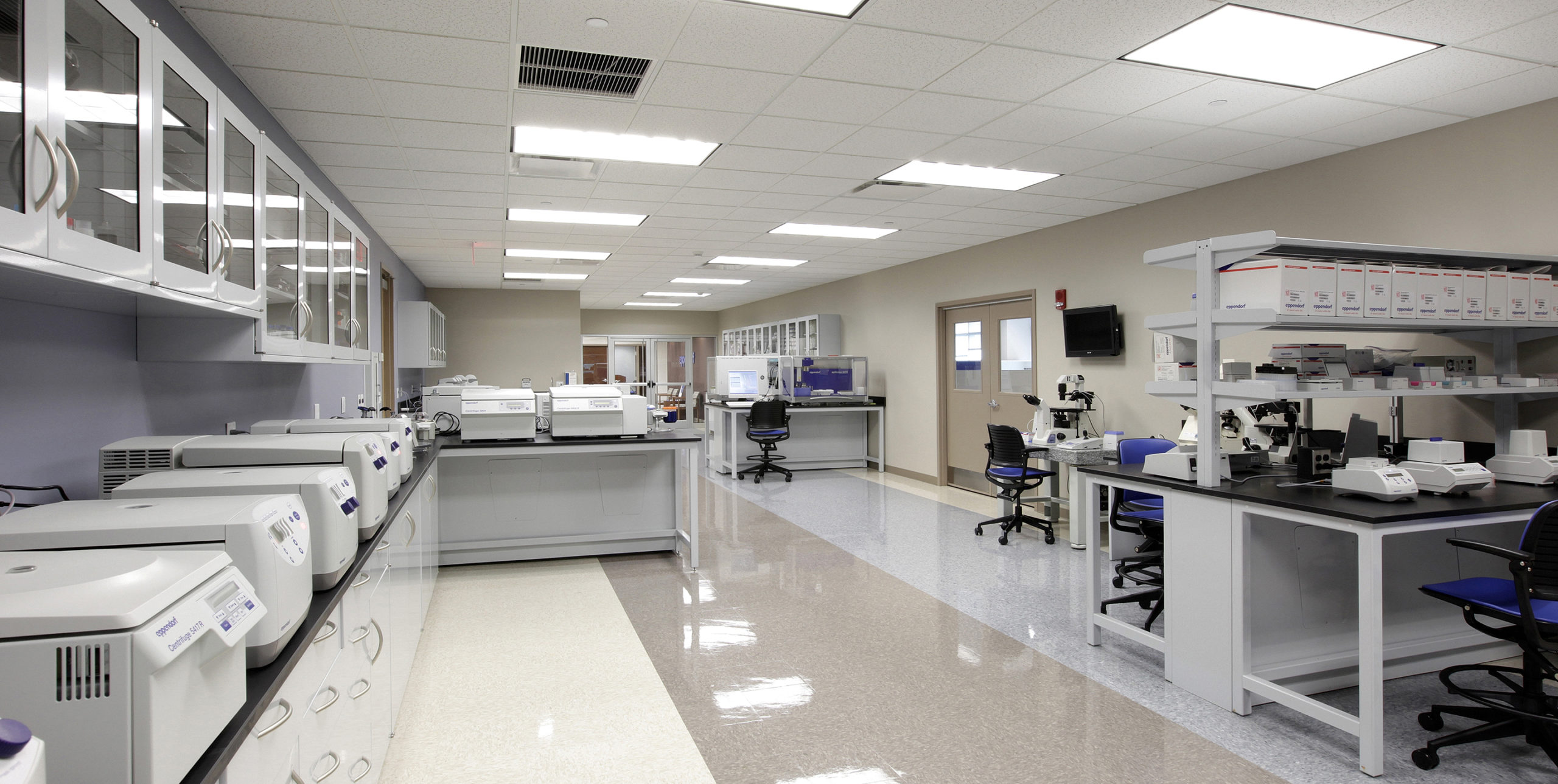 Lab room at Eppendorf at 102 Motor Parkway, Hauppauge