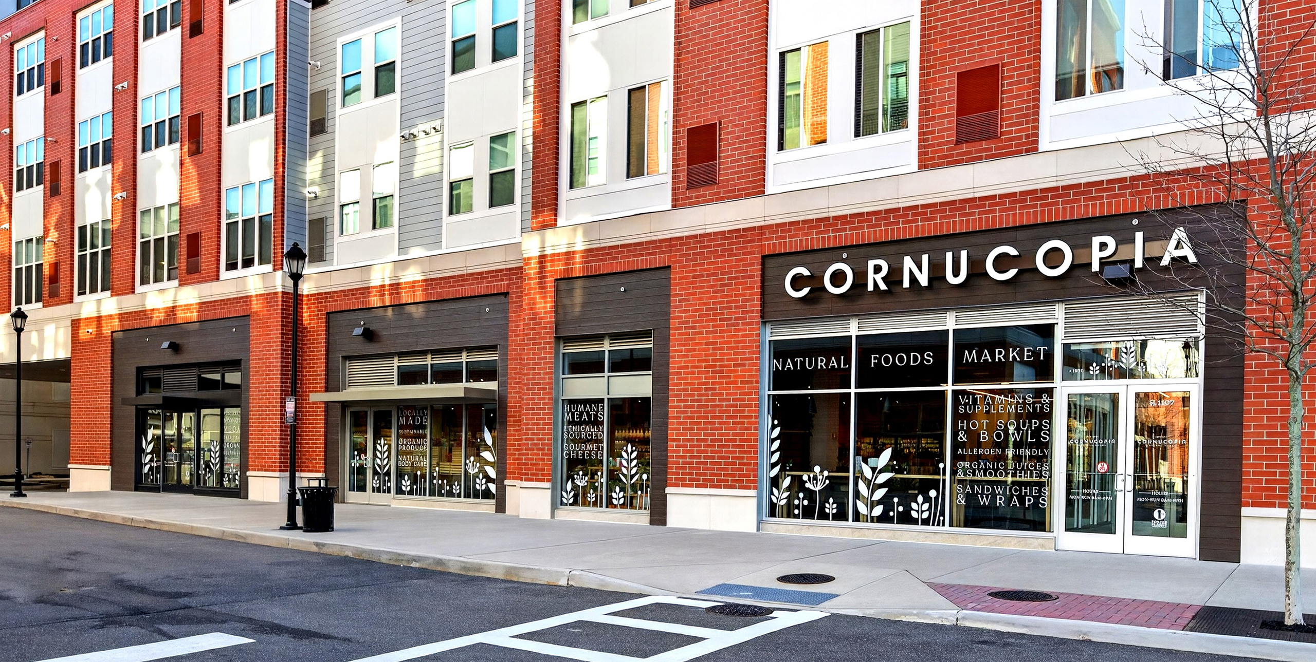 Cornucopia 13